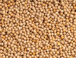 Organic Chickpea