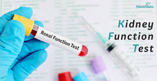 Kidney Function Test