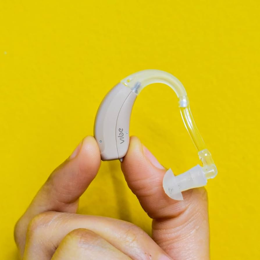 Ananloue Hearing Aid