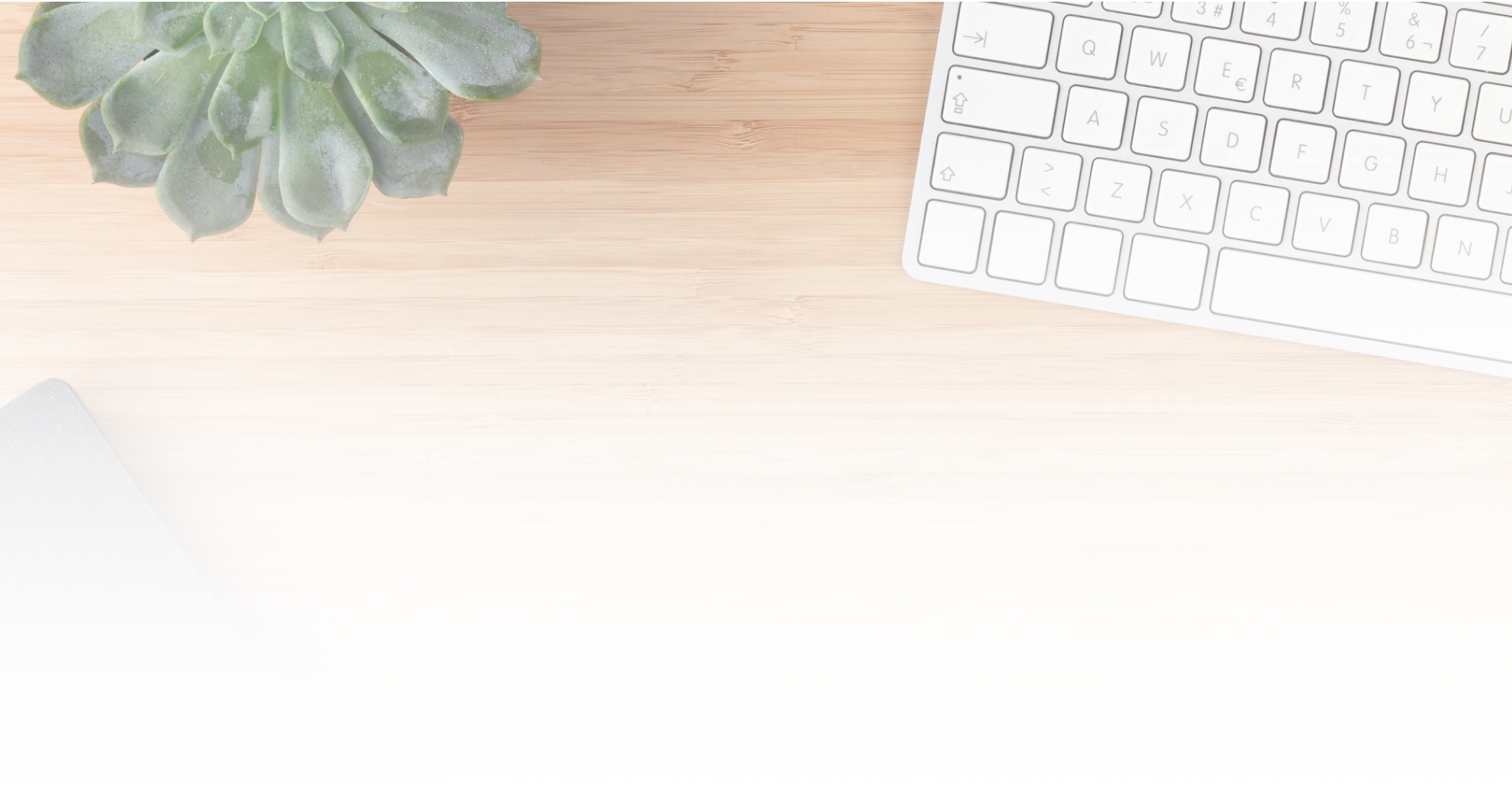 Software Developer Mini Website